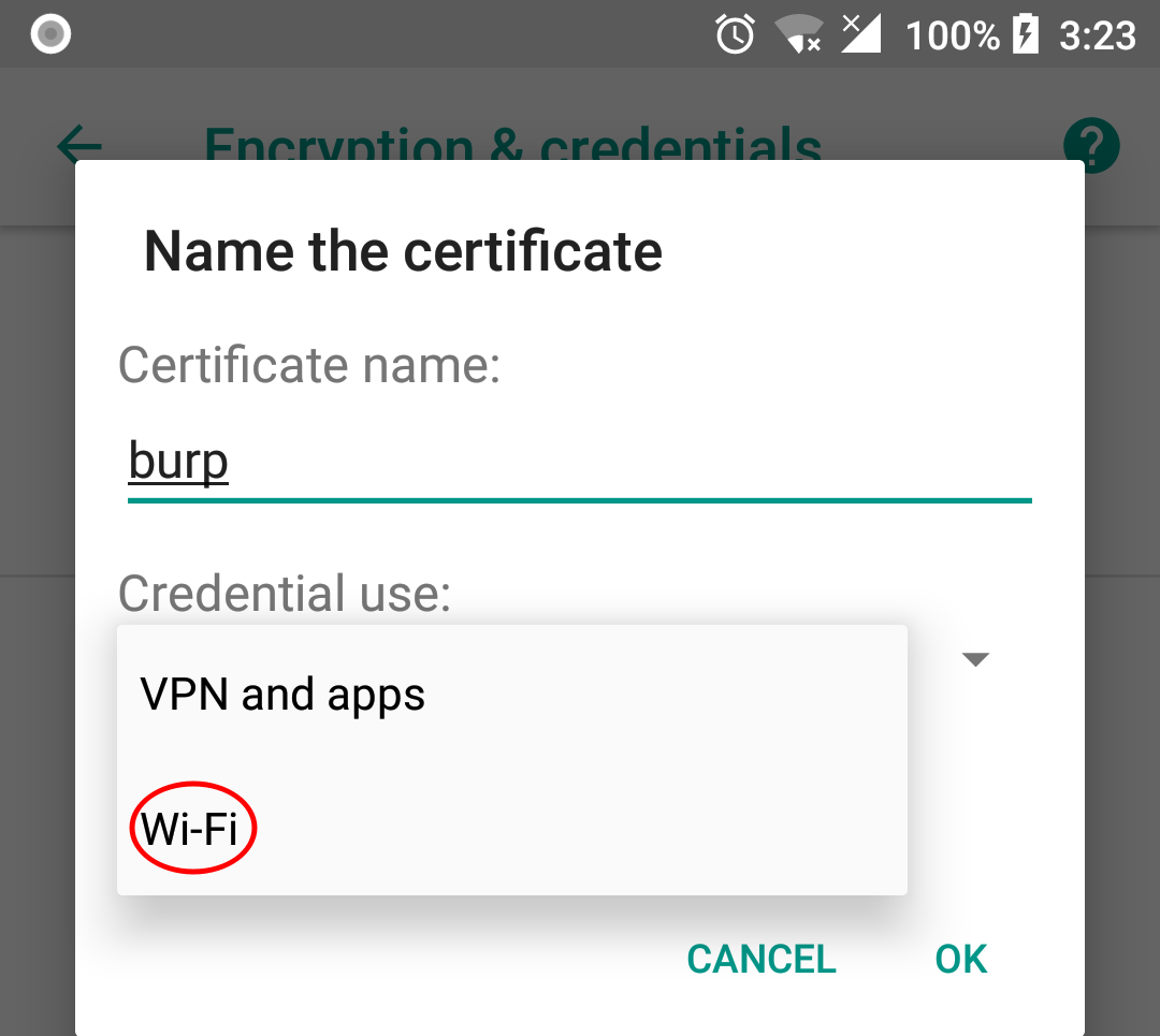 CA certificate installation