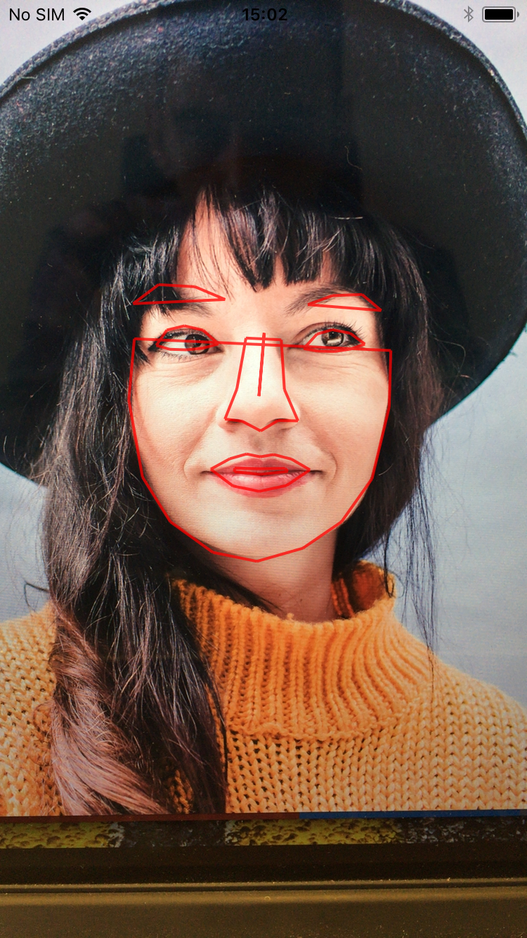 example of face detection